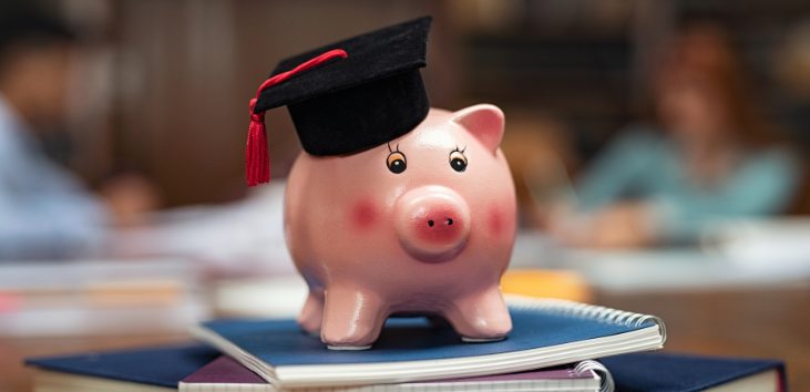 alcancia-en-forma-de-cerdo